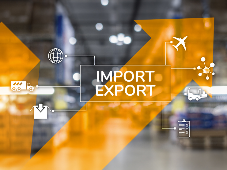 Cargo logistics for import / export